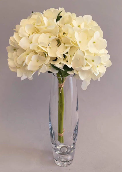 Hydrangea Bundle