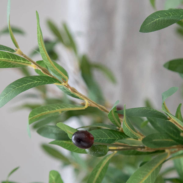 6.5' Artificial Olive Tree