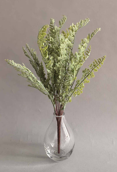 Greenery Staghorn Fern White