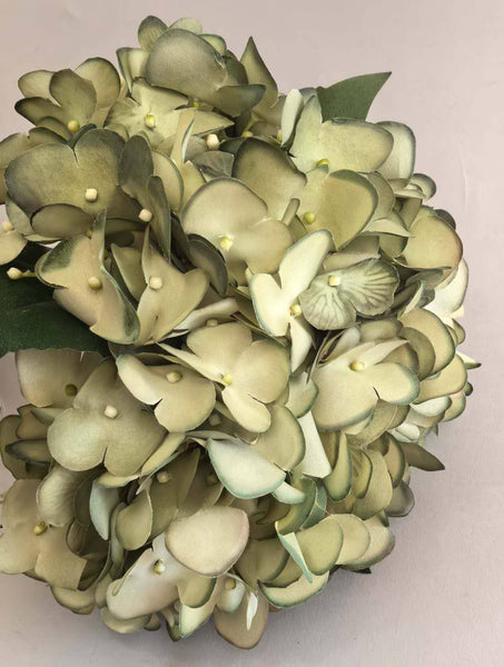Hydrangea Bundle