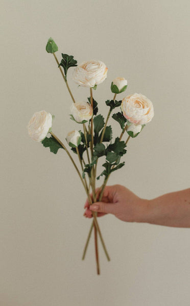 Ranunculus: Double Bloom Stem