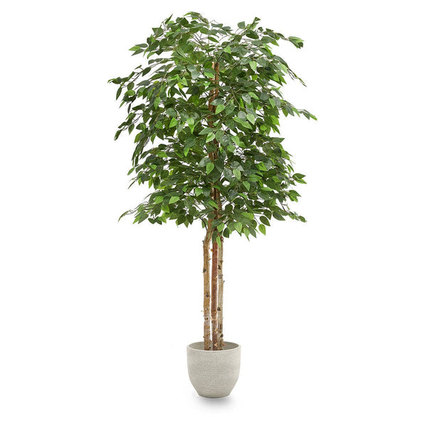 6' Artificial Ficus Tree