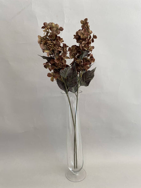 Brown Hydrangea Stem