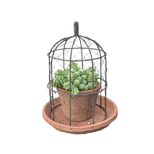 Wire Dome with Pot- Terracotta 14"