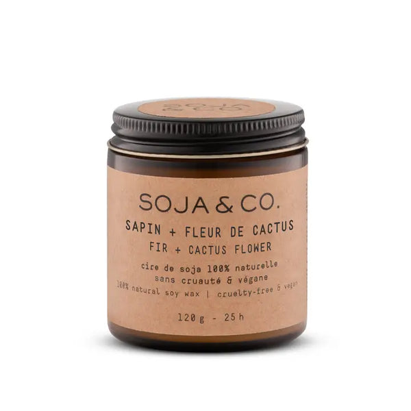 SOJA&CO - Fir + Cactus Flower