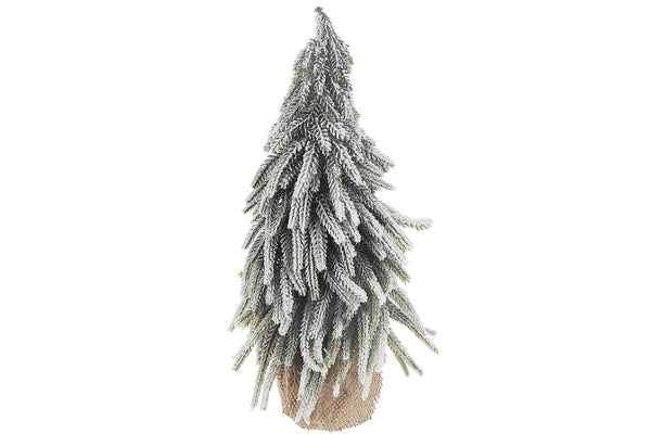 Pine Tree with Burlap Base