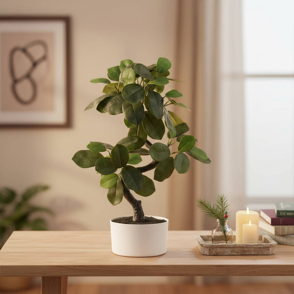 18" Faux Snake Ficus