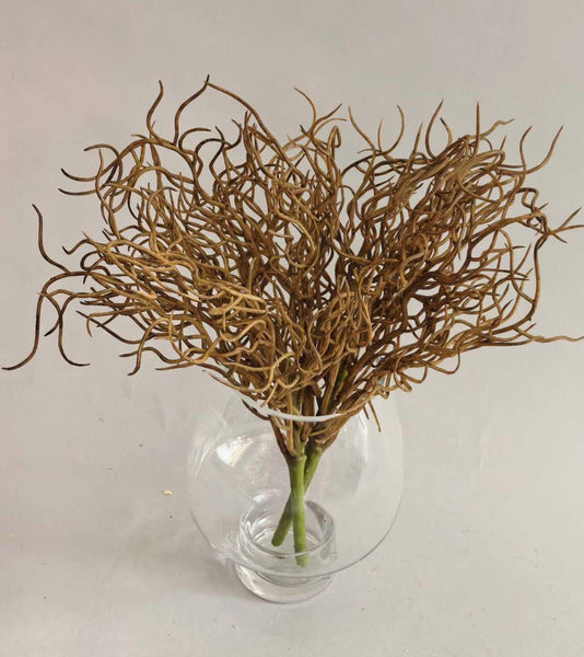 Greenery Curly Air Grass