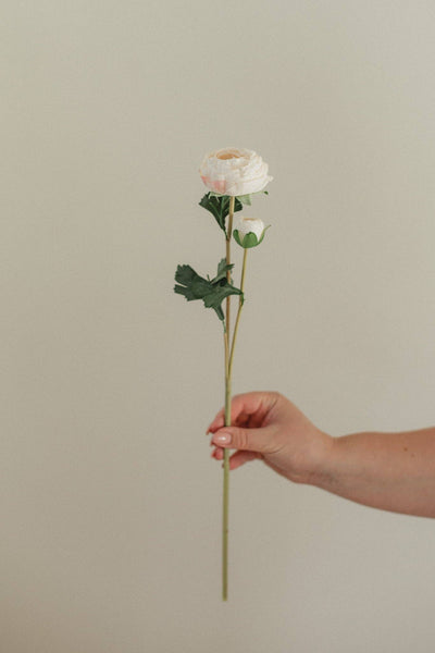 Ranunculus: Double Bloom Stem