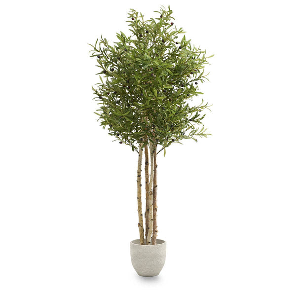 6.5' Artificial Olive Tree