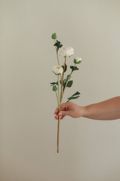 Ranunculus: Double Bloom Stem