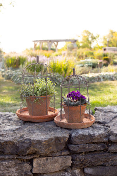 Wire Dome with Pot- Terracotta 12"