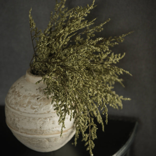 14.5" GREEN DANCE PLANT BUSH