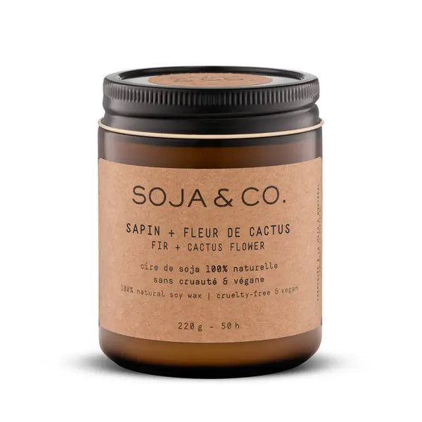 SOJA&CO - Fir + Cactus Flower