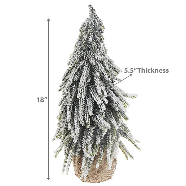 Pine Tree with Burlap Base