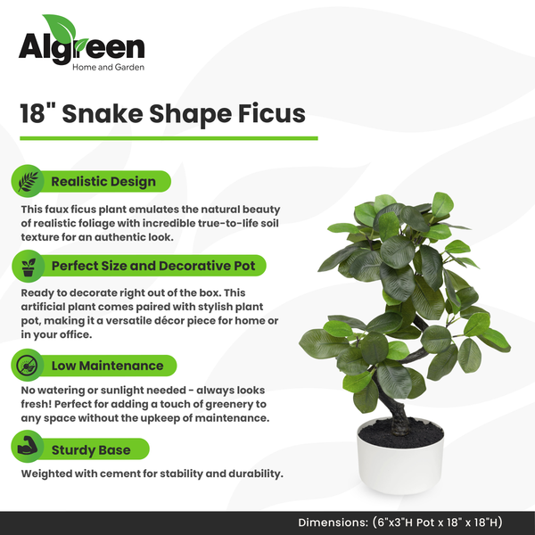 18" Faux Snake Ficus