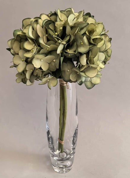 Hydrangea Bundle