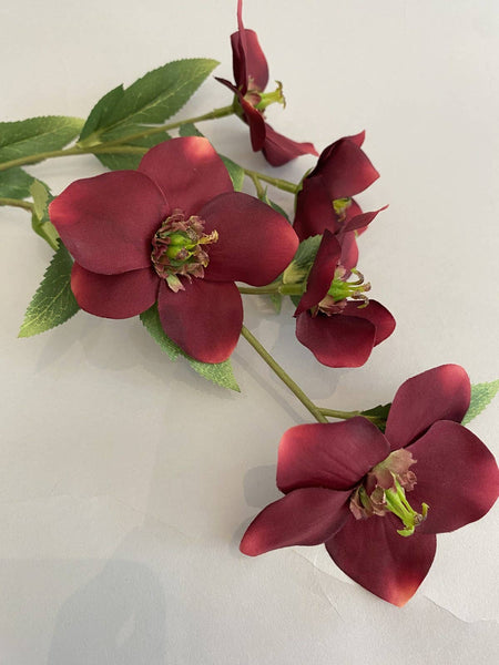 Hellebore Spray Burgundy