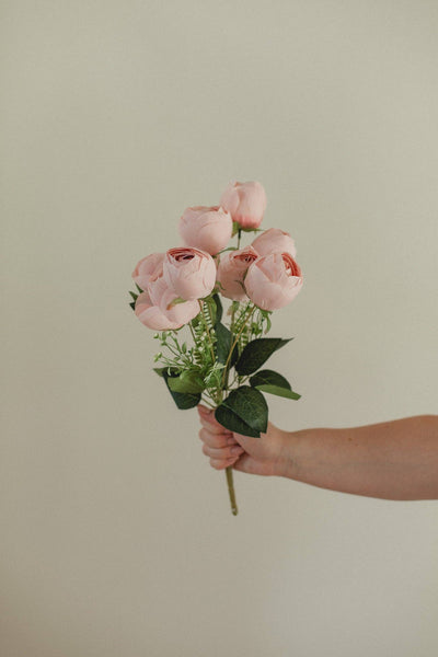 Perfect Peony Bundle: Champagne