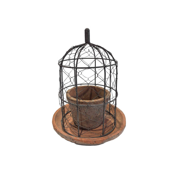 Wire Dome with Pot- Terracotta 12"