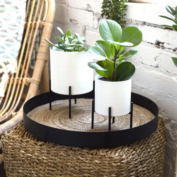 Metal Planters on Stand | Set of 2