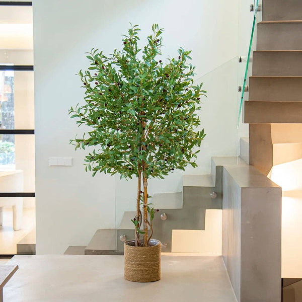6.5' Artificial Olive Tree