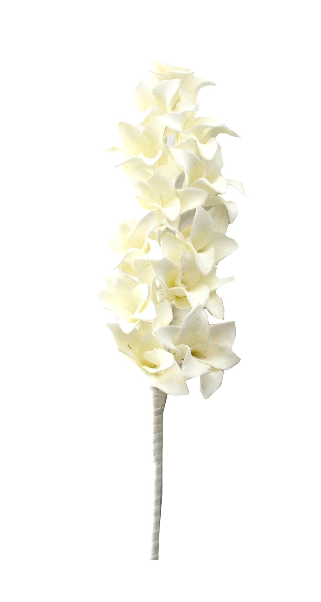 White Orchid