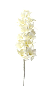 White Orchid