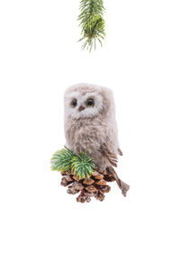 Grey Hanging Watchful Owl