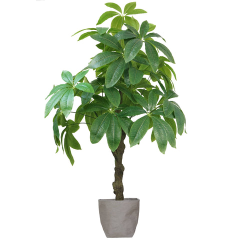 48" Tall Real Touch Pachira Aquaticaica With Eco Planter