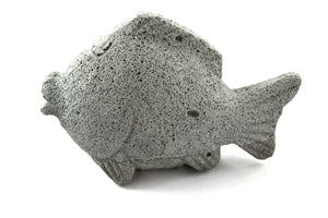 Cement Fish