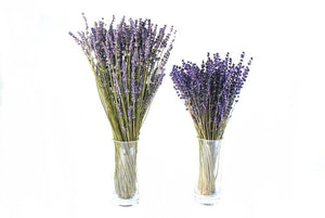 Lavender Bouquet Super Blue