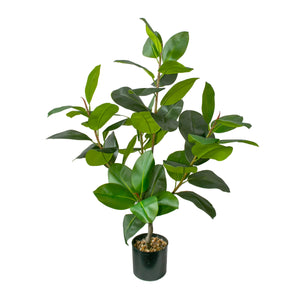Real touch Rubber tree