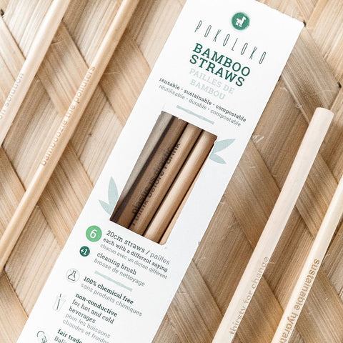 Bamboo Straws - Box of 6 with Brush