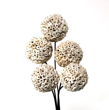 Sola Cork Balls