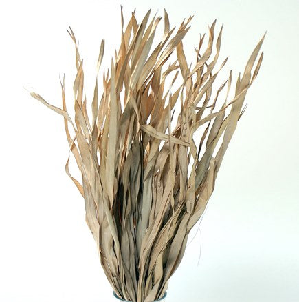 Natural Fire Grass